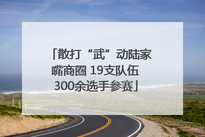 散打“武”动陆家嘴商圈 19支队伍300余选手参赛